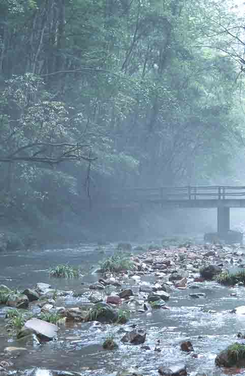 揭秘反差黑料：51cg吃瓜网的热门播放内容